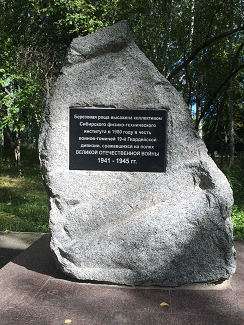 Памятный камень на улице 19-й гвардейской дивизии